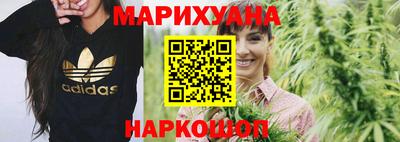 МДПВ Гусев