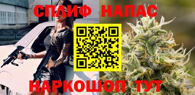 МДПВ Гусев