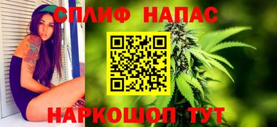 МДПВ Гусев