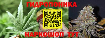 МДПВ Гусев