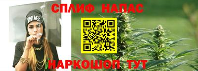 МДПВ Гусев