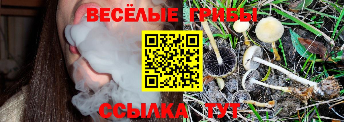 Галлюциногенные грибы Magic Shrooms Наро-Фоминск